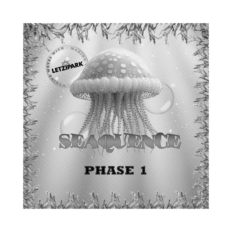SEAQUENCE 2025 - Phase 1 SEAQUENCE 2025 - Phase 1